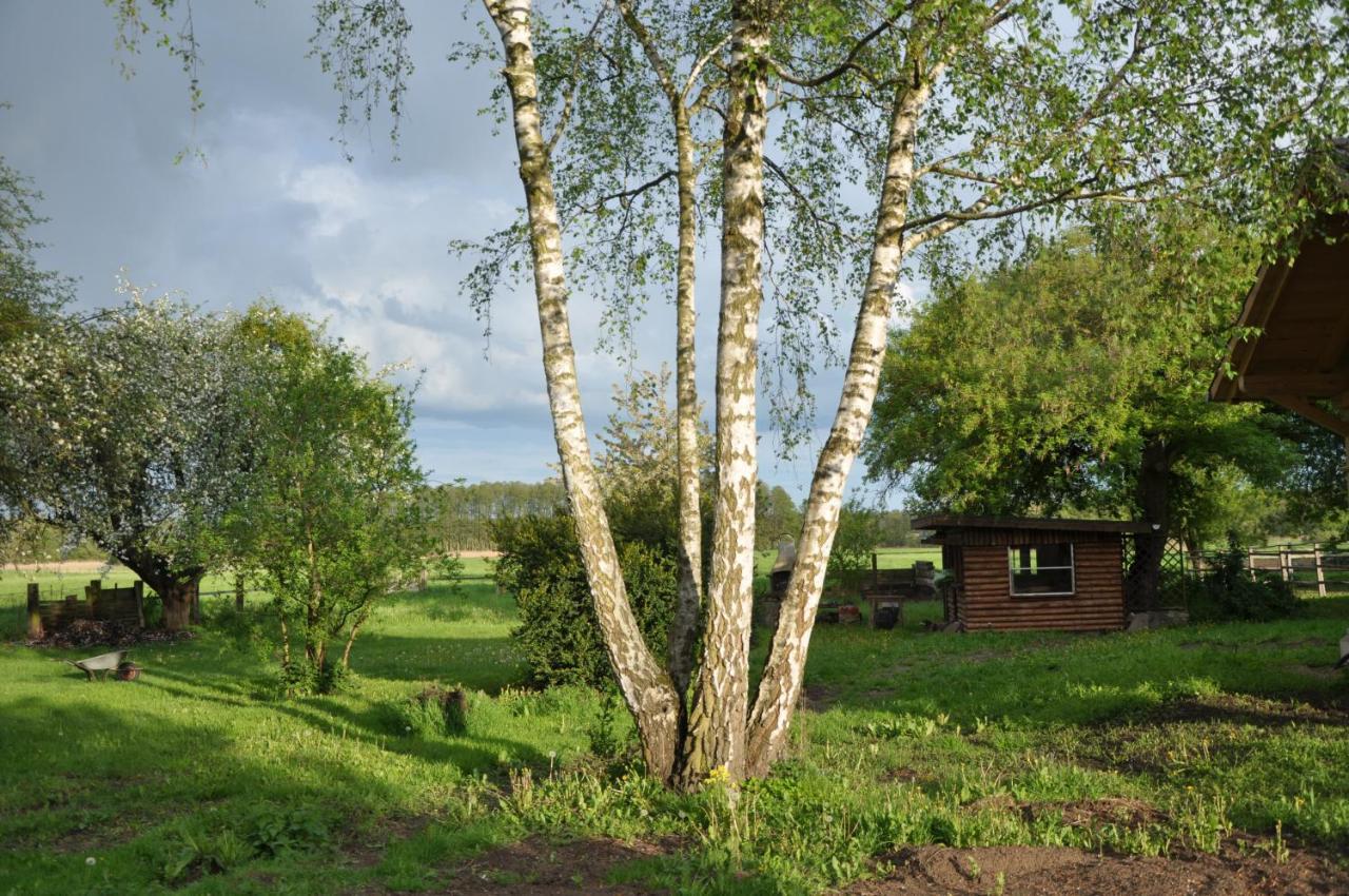 Villa Osterloff Oderberg Exterior foto